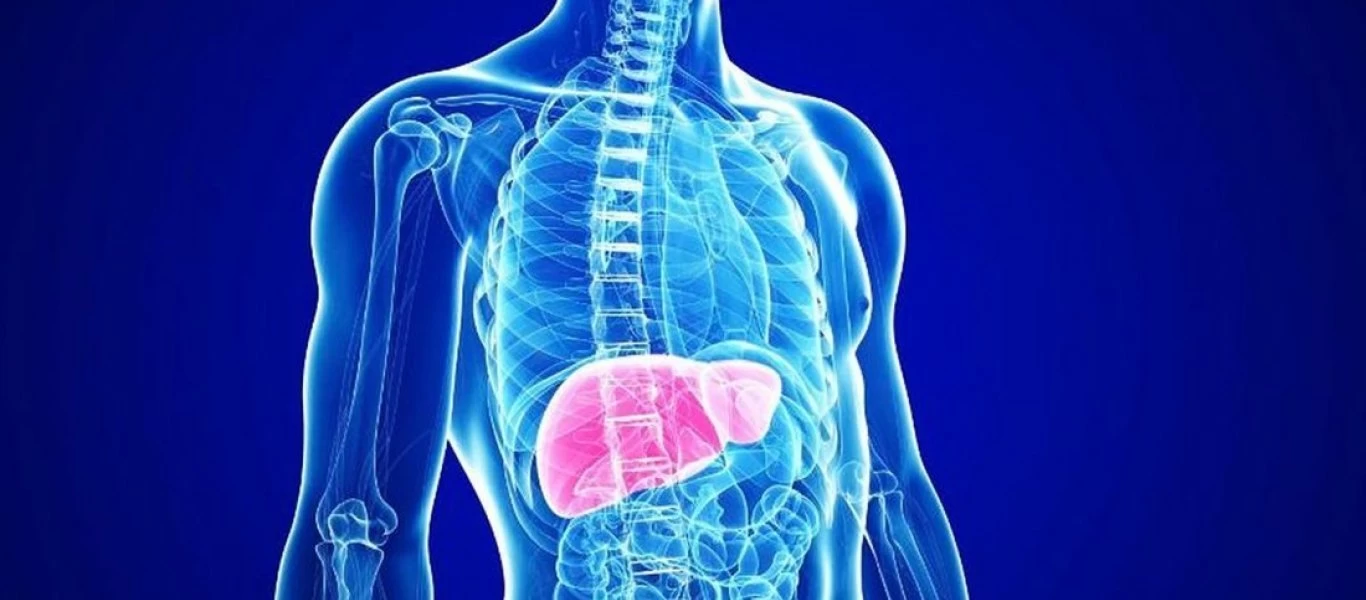 Αυτές οι τροφές απομακρύνουν τις τοξίνες από το αίμα